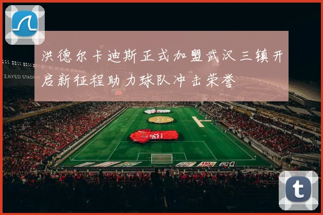 洪德尔卡迪斯正式加盟武汉三镇开启新征程助力球队冲击荣誉