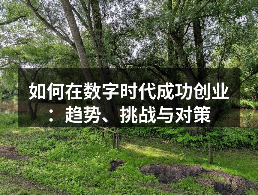如何在数字时代成功创业：趋势、挑战与对策