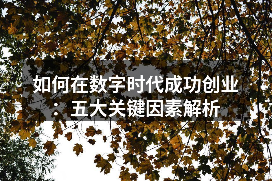 如何在数字时代成功创业：五大关键因素解析